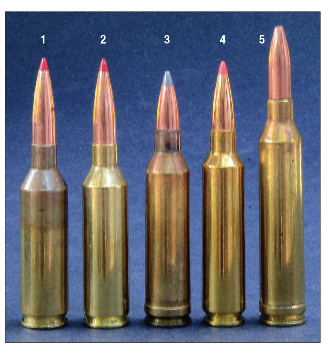 The 6.5 SAUM case capacity is greater than the 6.5 PRC and 6.5-284 Norma, but less than the 6.5 Remington Magnum and .264 Winchester Magnum. Shown are (left to right): the (1) 6.5 SAUM, (2) 6.5 PRC, (3) 6.5 Remington Magnum,  (4) 6.5-284 Norma and the (5) .264 Winchester Magnum.